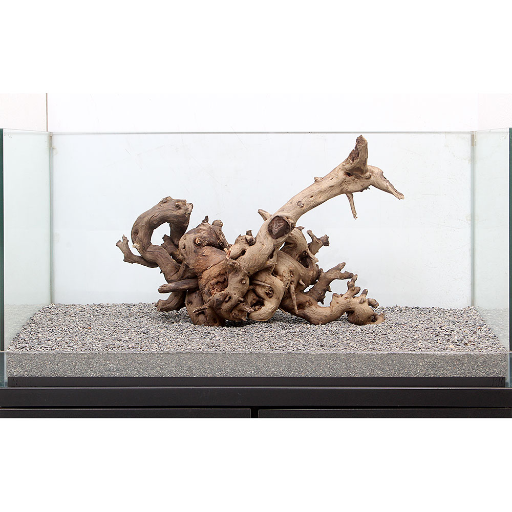 流木店 一点物 サンゴウッド 大型水槽用 ８９６４２９ 沖縄別途送料 関東当日便 Charm