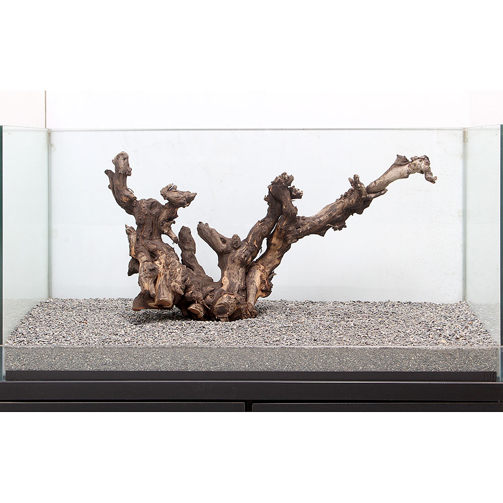 保障できる 一点物 サンゴウッド 大型水槽用 ８９６４３２ 沖縄別途送料 関東当日便 想像を超えての Www Lexusoman Com