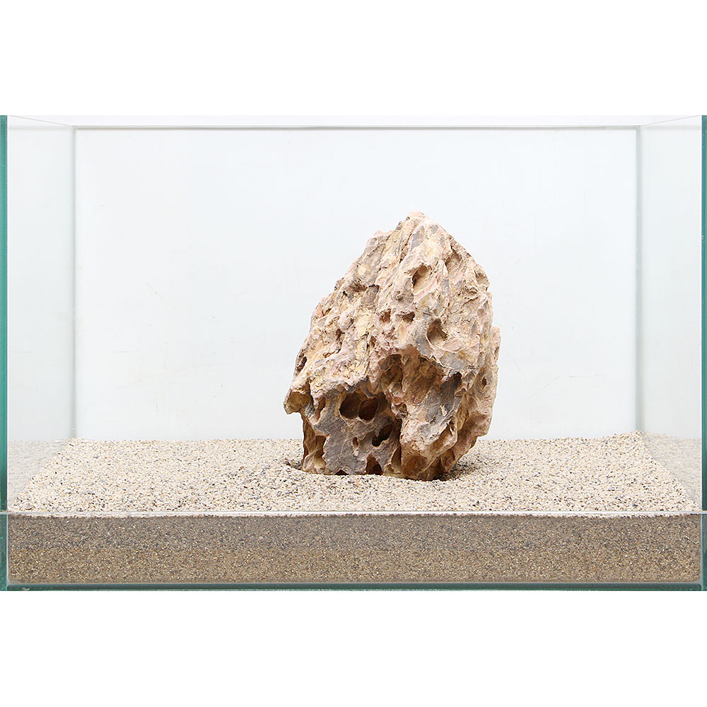 史上最も激安 水草 45cm水槽用レイアウト フルセット 砂漠のオアシス お一人様1点限り 本州四国限定 ペット 花 ガーデニング Diy Stfparishschool Org 史上最も激安 水草 45cm水槽用レイアウト フルセット 砂漠のオアシス お一人様1点限り 本州四国限定 ペット 花 ガーデニング Diy Stfparishschool Org
