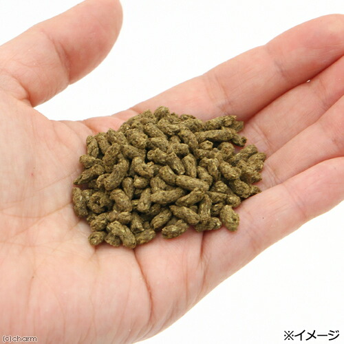 国産 うさぎの食事プレミアム 10kg 全成長段階用 業務用 お一人様2点限り 沖縄別途送料 関東当日便 国産 うさぎの食事プレミアム 10kg 全成長段階用 業務用 お一人様2点限り 沖縄別途送料 関東当日便