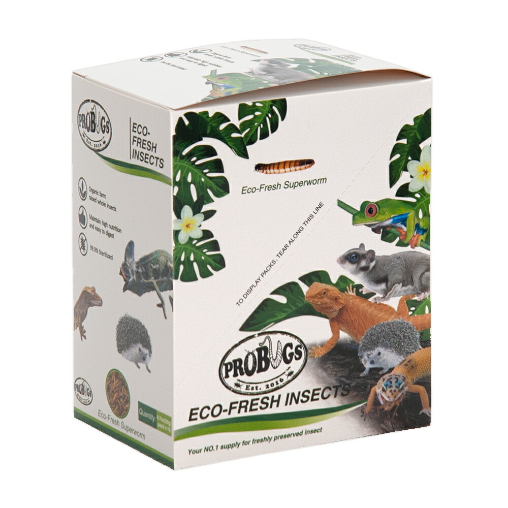 楽天市場】【送料無料】プロバグズ 真空パック生昆虫 スーパーワーム