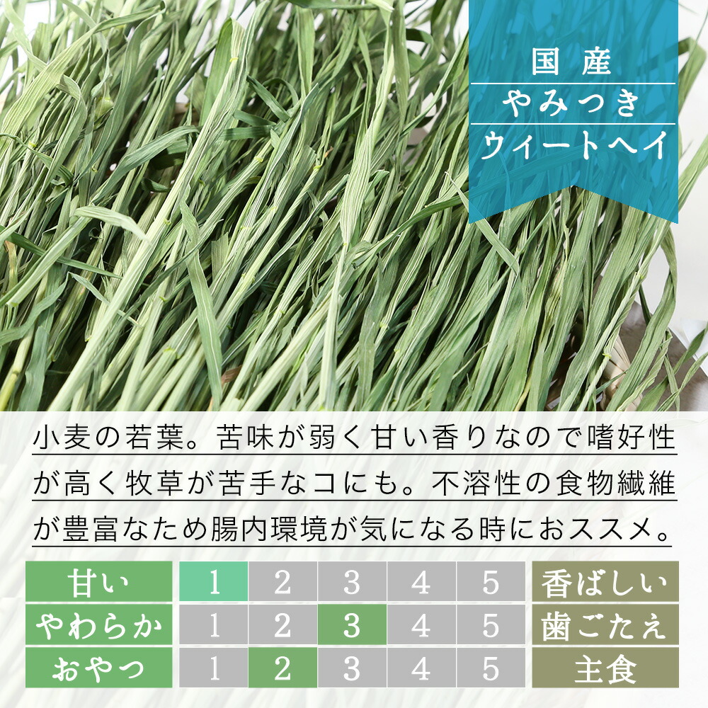 2021公式店舗 ウサギ 100g 無農薬 イネ科生牧草 小動物用品