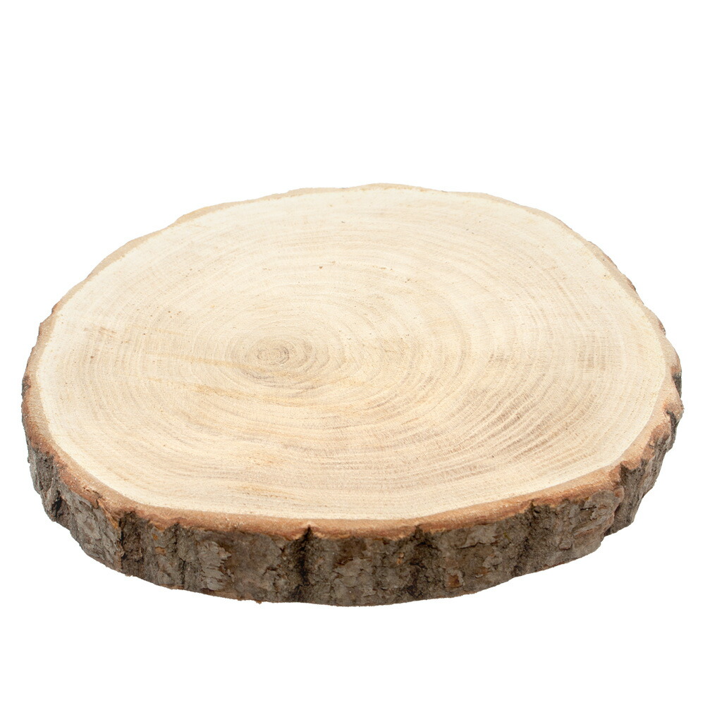 楽天市場】天然素材 国産 栗の木 切り株ステージ Мサイズ 1枚 関東