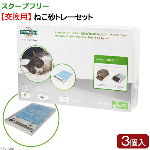関東当日便お持て成し