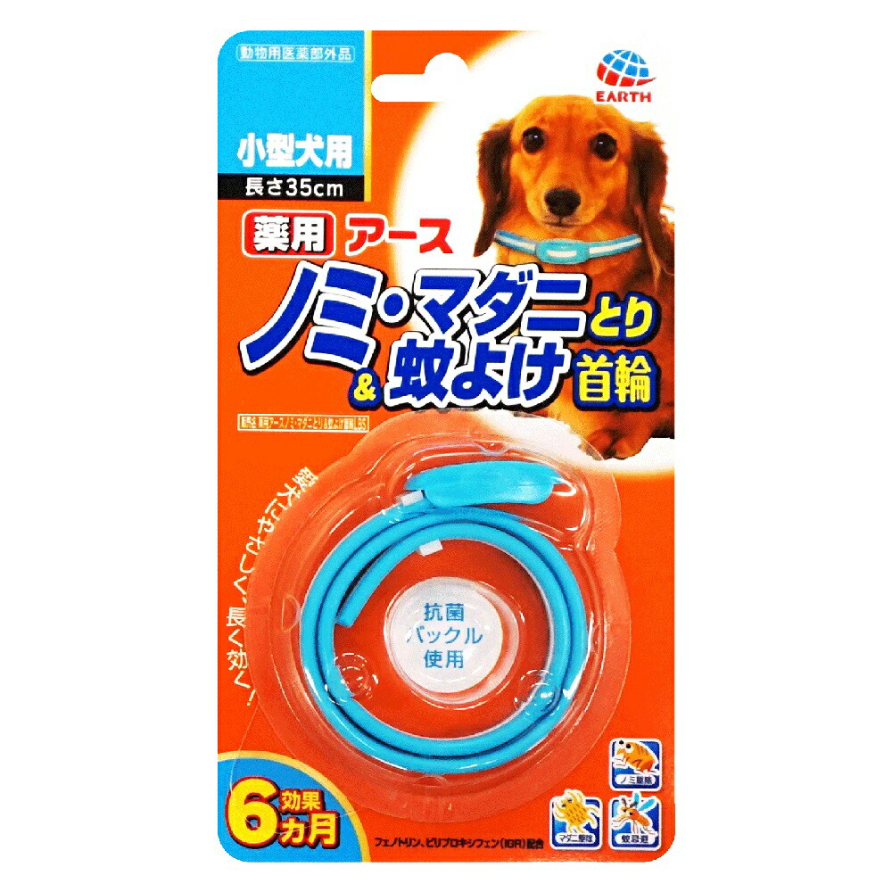 関東当日便お持て成し