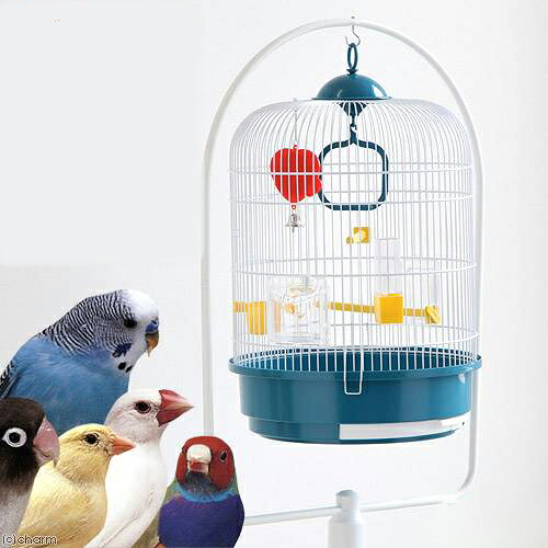 鳥かご　カナリア・インコ用ケージセット　レジーナ　スタンドセット　色おまかせ（直径約３２．５×高さ４５．５ｃｍ）　関東当日便