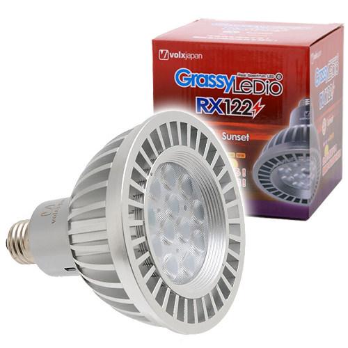 ボルクスジャパン GrassyLedio RX122s reefセット volxjapan ボルクスジャパン Grassy LeDio