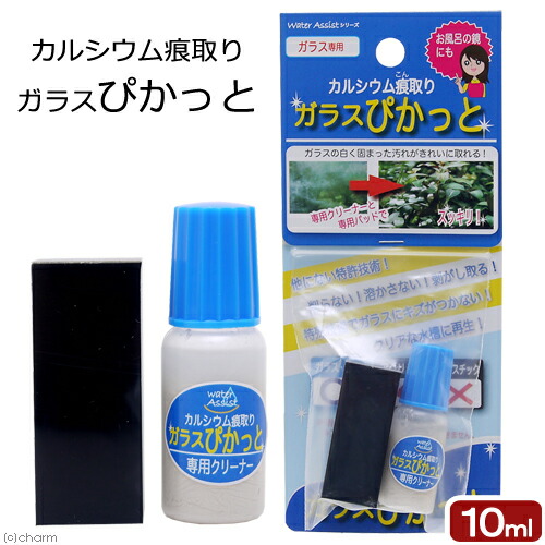 関東当日便客あしらい
