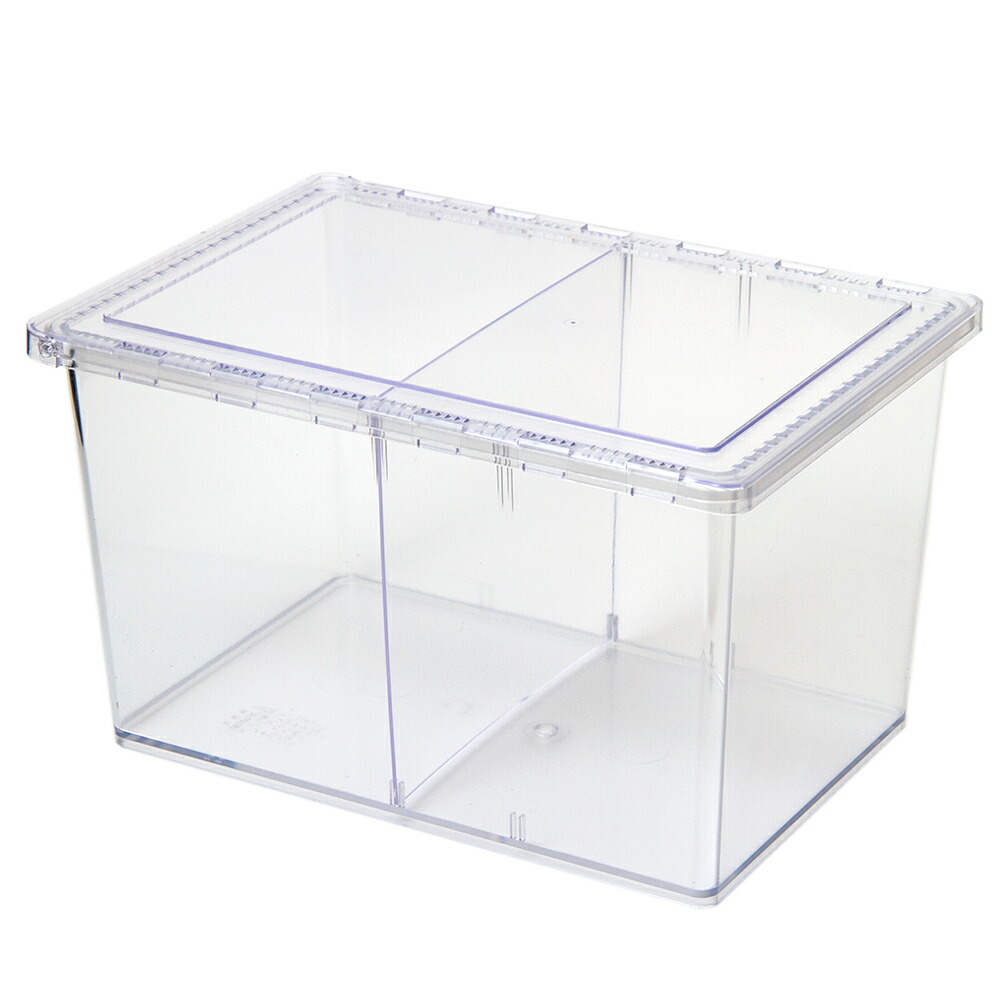 楽天市場】コバエシャッター飼育ケース・クリアスライダーラージ