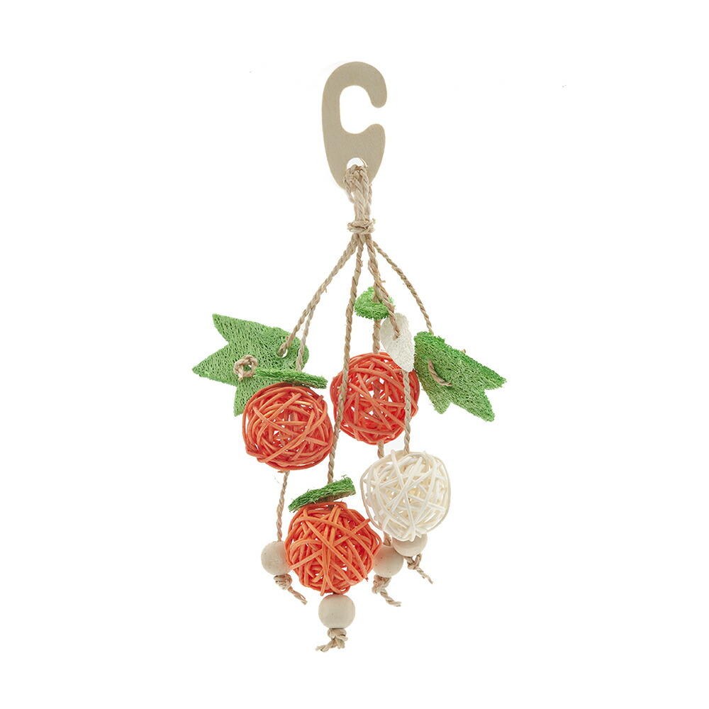 楽天市場】輪切りステップ ＆ 固定式かじり木 コルクの木 Lサイズ 1