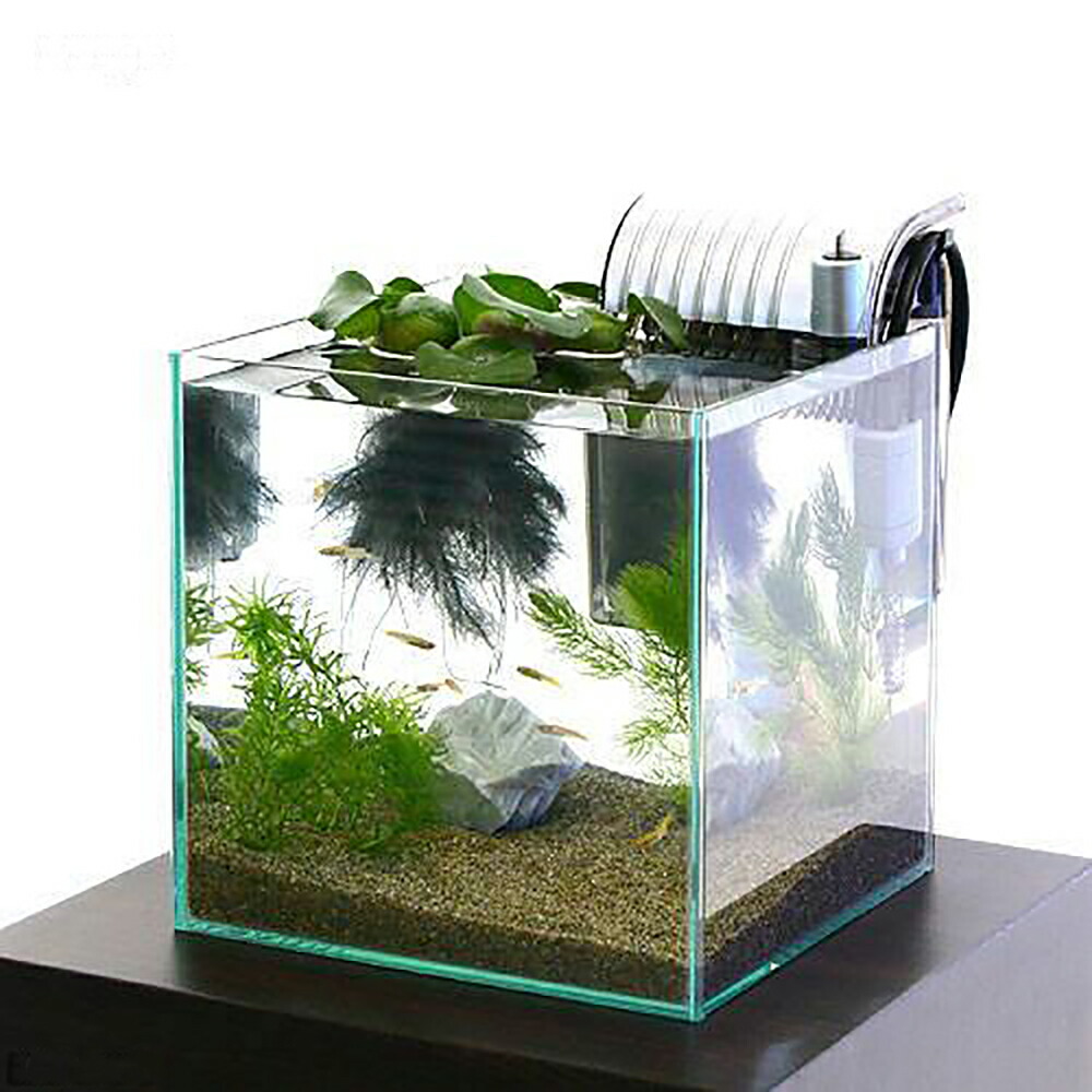 メダカ 水草 取り扱い 本 8点セット メダカ 水草 取り扱い 本 8点セット Amazon | テトラ (Tetra
