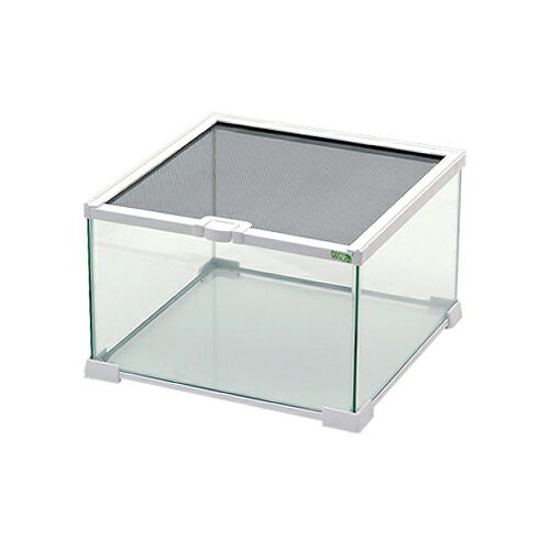 楽天市場】三晃商会 Repti wild グラスゾーン 30 ホワイト（T1