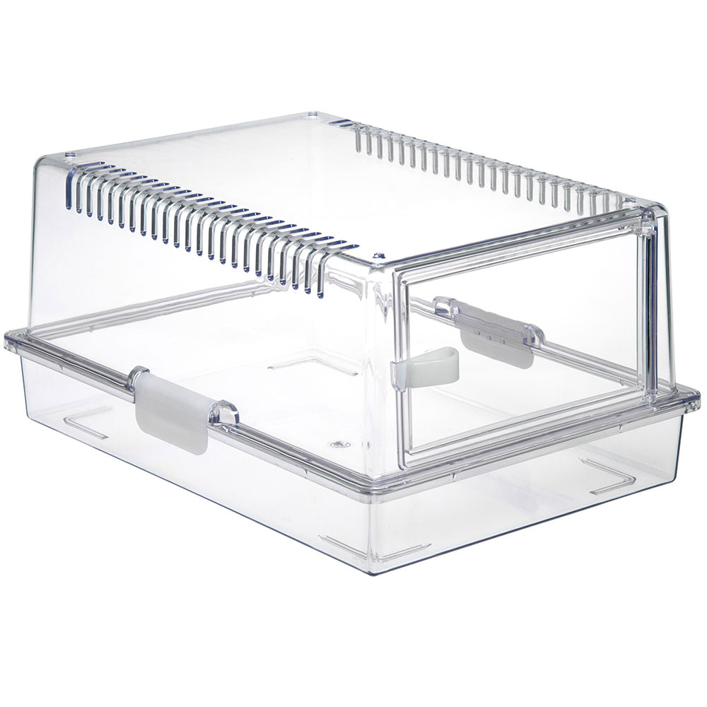 楽天市場】ヒョウモントカゲモドキ 飼育セット レオパ お一人様2点