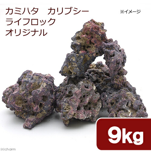 関東当日便客あしらい