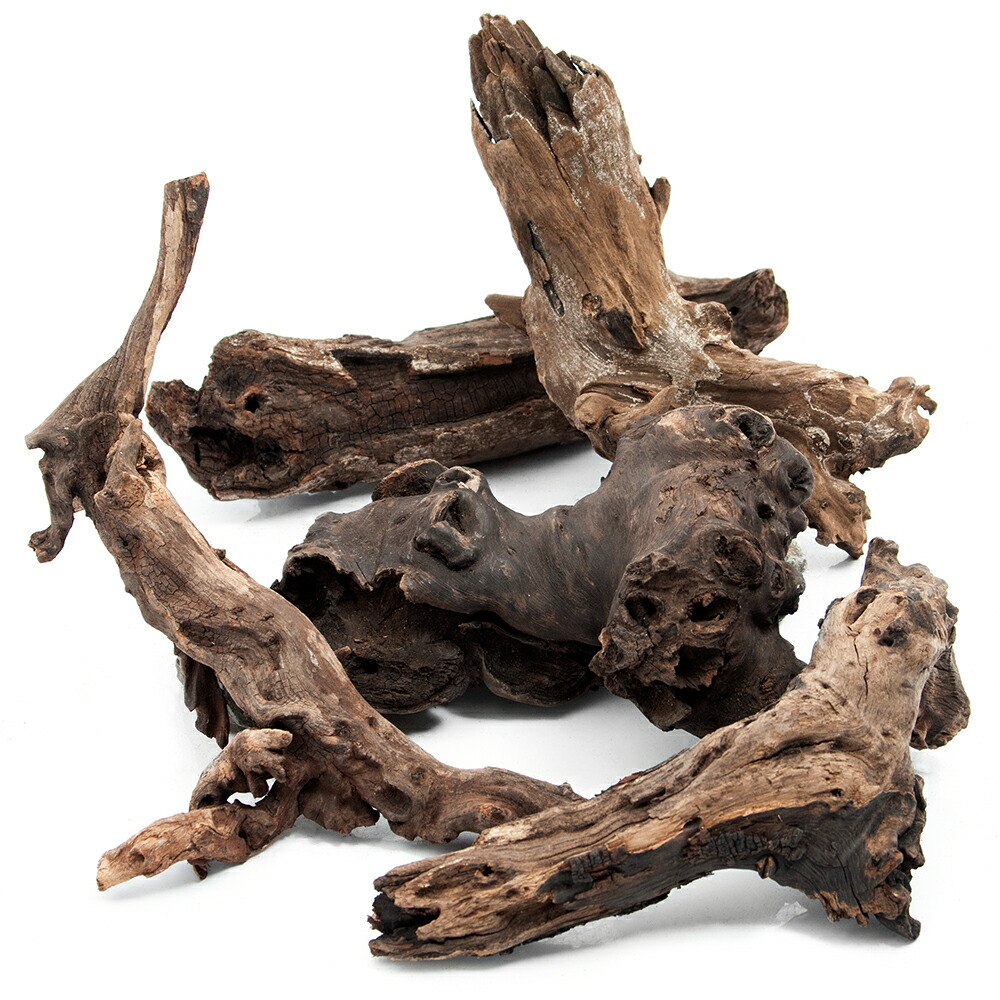 コエポン様　流木 自然形状　約80×50×47 コエポン様 流木 自然形状 約80×50×47 流木シリーズ - 株式会社