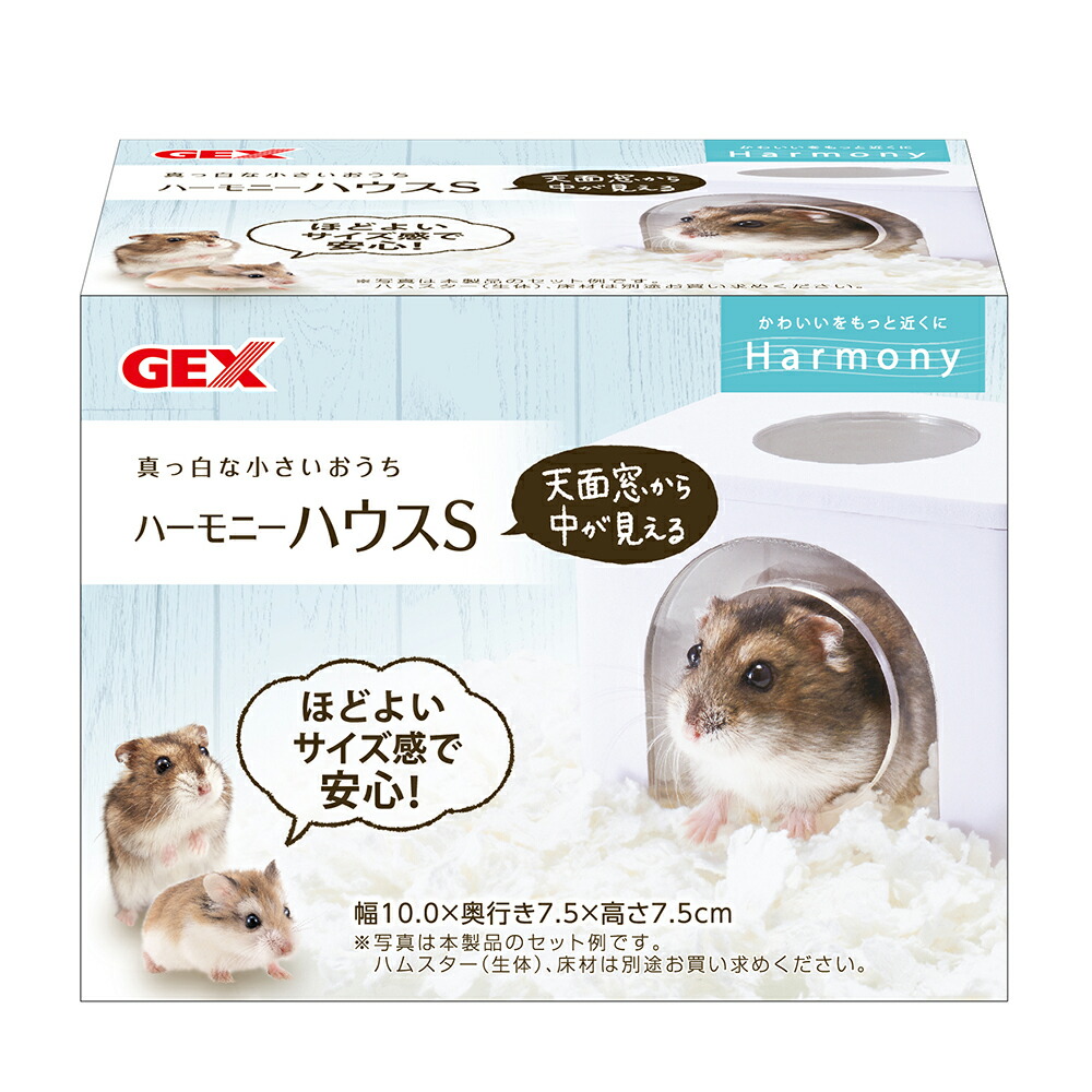 ハムスターページ Amazon.co.jp: AHEMOLY ハムスターの種類 ポスター 寝室