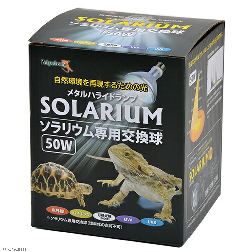 ゼンスイ ソラリウム 50W UV照明　メタハラ ゼンスイ 【全国送料無料】 メタルハライドランプセット