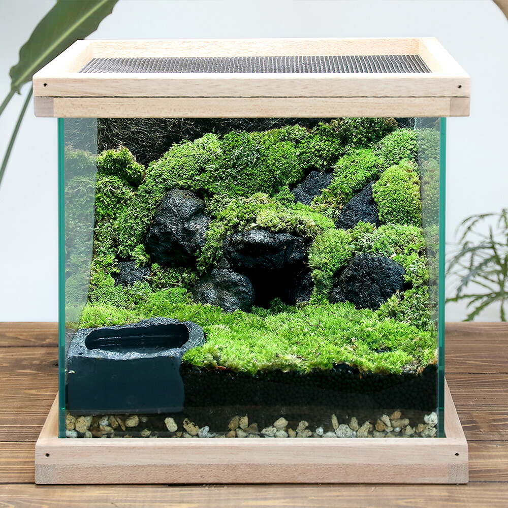 イモリウム　～イモリの洞窟～　レイアウトセット　お一人様２点限り　関東当日便