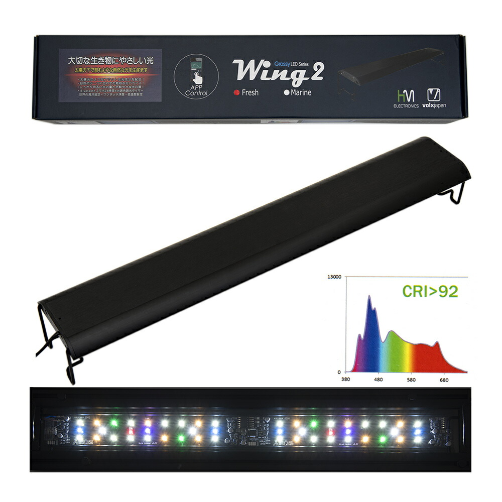 volx japan grassy legna marine 600 タイマー付 楽天市場】ボルクスジャパン Grassy Legna グラッシー レグナ