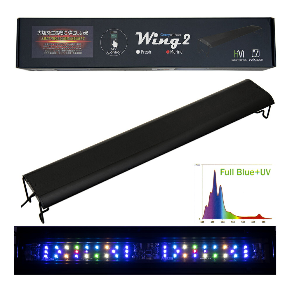 楽天市場】ボルクスジャパン Grassy Legna Marine