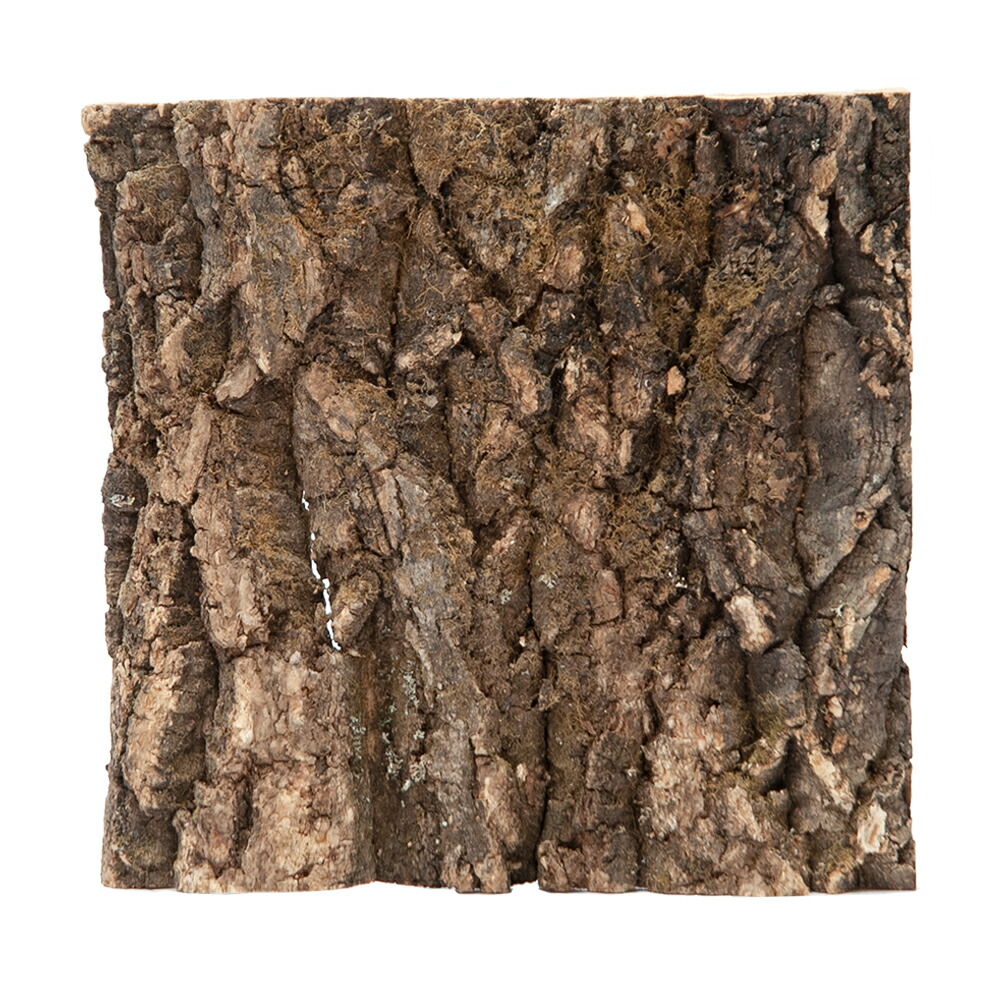 楽天市場】コルク樹皮 20×30cm 厚1cm以下 1枚 バーク : ネオス