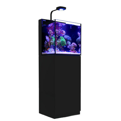 楽天市場】レッドシー MAX NANO G2 CUBE セット ブラック 