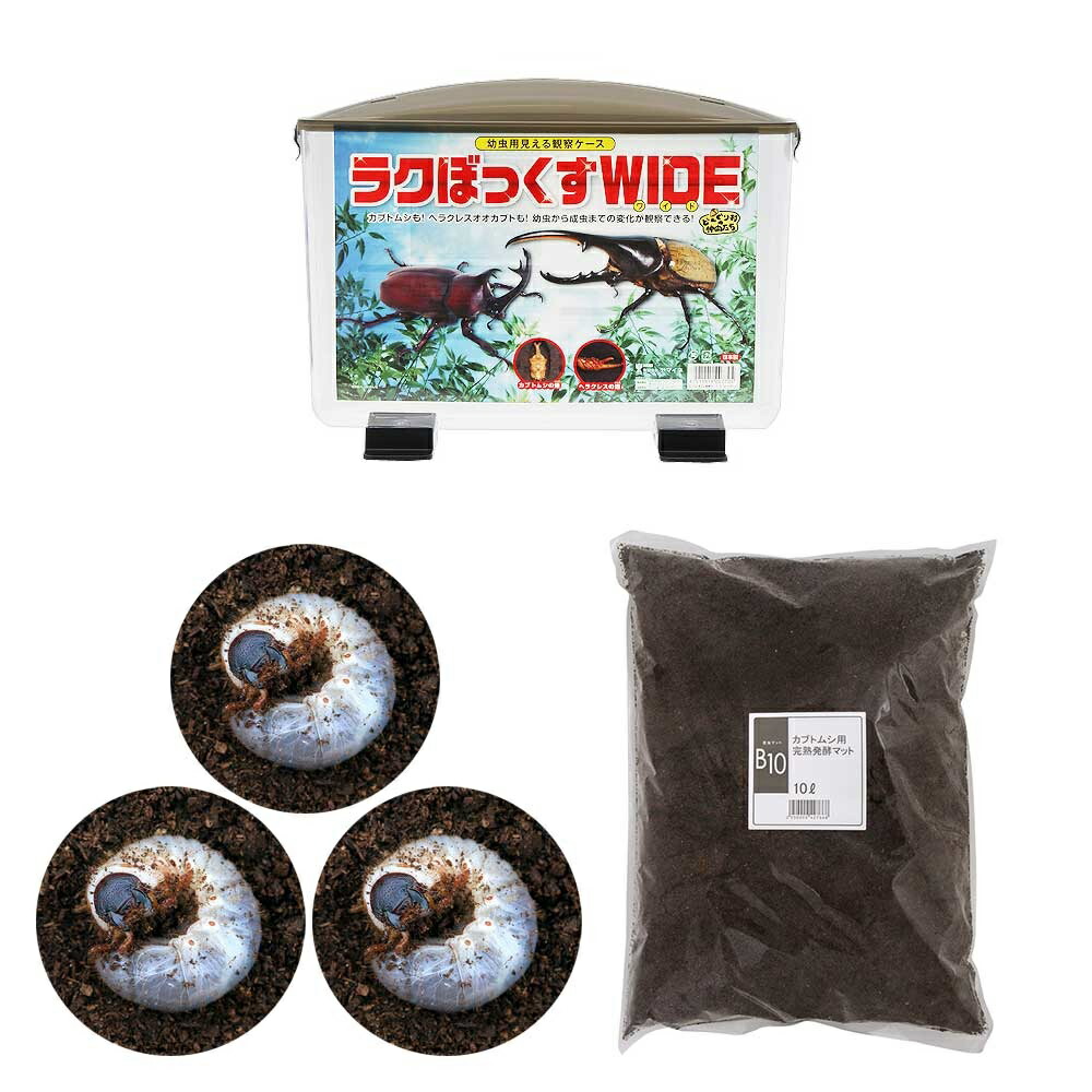 ラクぼっくすWIDE 幼虫用観察ケース 楽天市場】幼虫観察ケース ラクぼっくすWIDE 見える飼育ケース : 株式