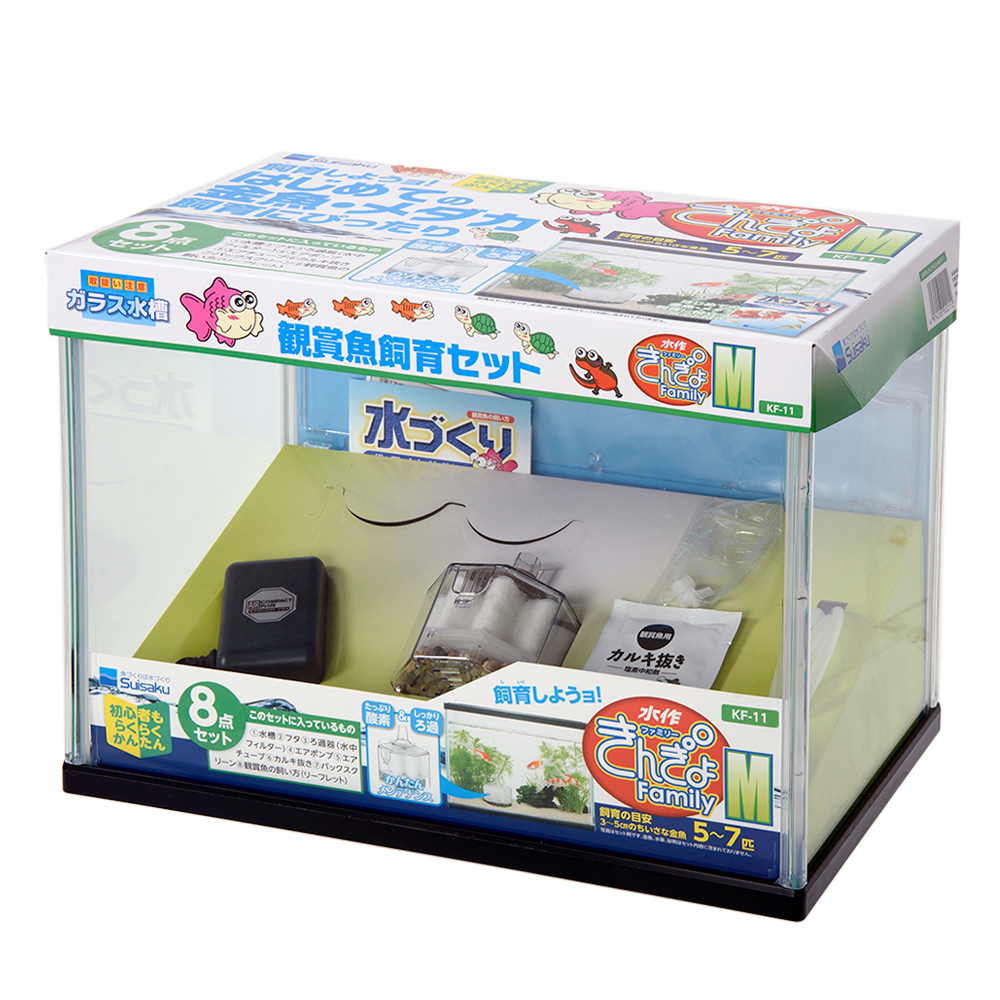 『きんぎょ』 きんぎょ 金魚王子】京錦 11cm前後 (個体番号：cde281) 金魚 きんぎょ