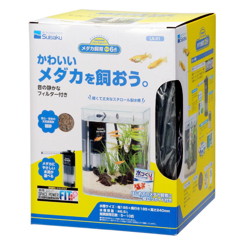 めだか飼育容器セット50点 楽天市場】（めだか）プラ水槽で本格的メダカ飼育セット（SF