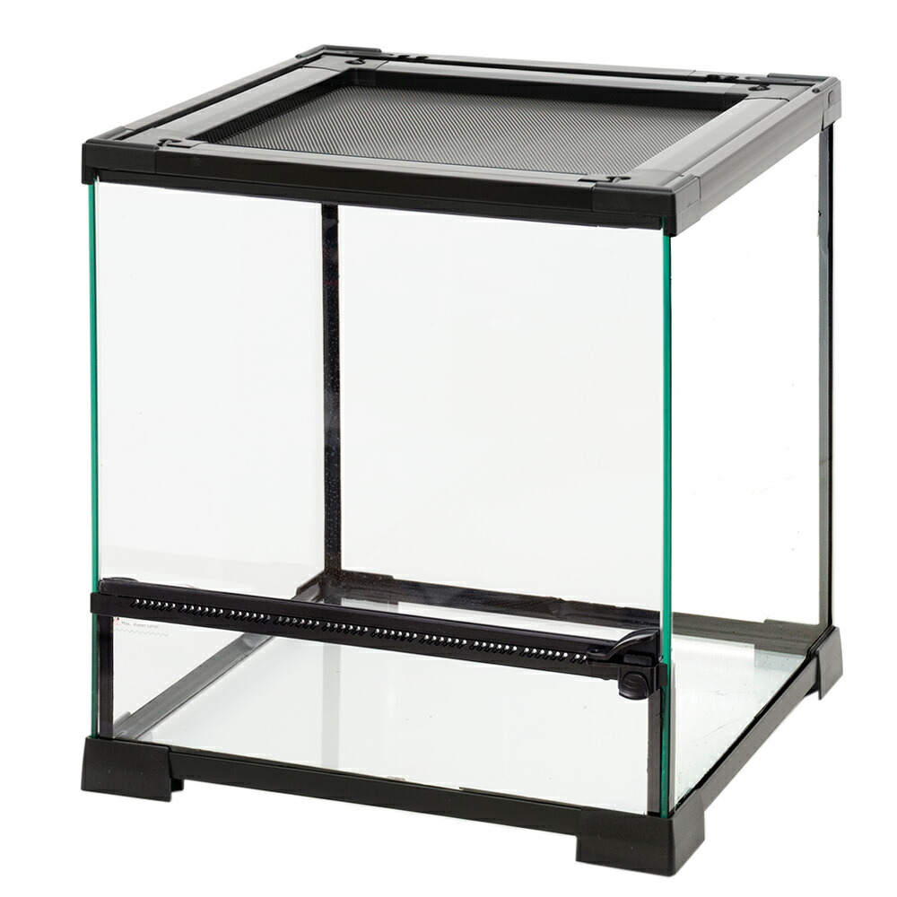 楽天市場】RainForest パルダリウムケージプロ