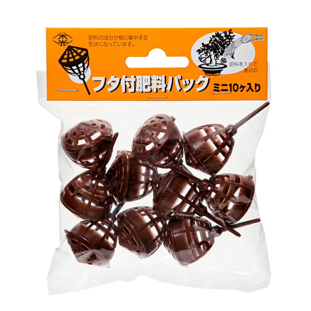 楽天市場】ビカクシダ ステンレスバスケット 2個 関東当日便 : charm