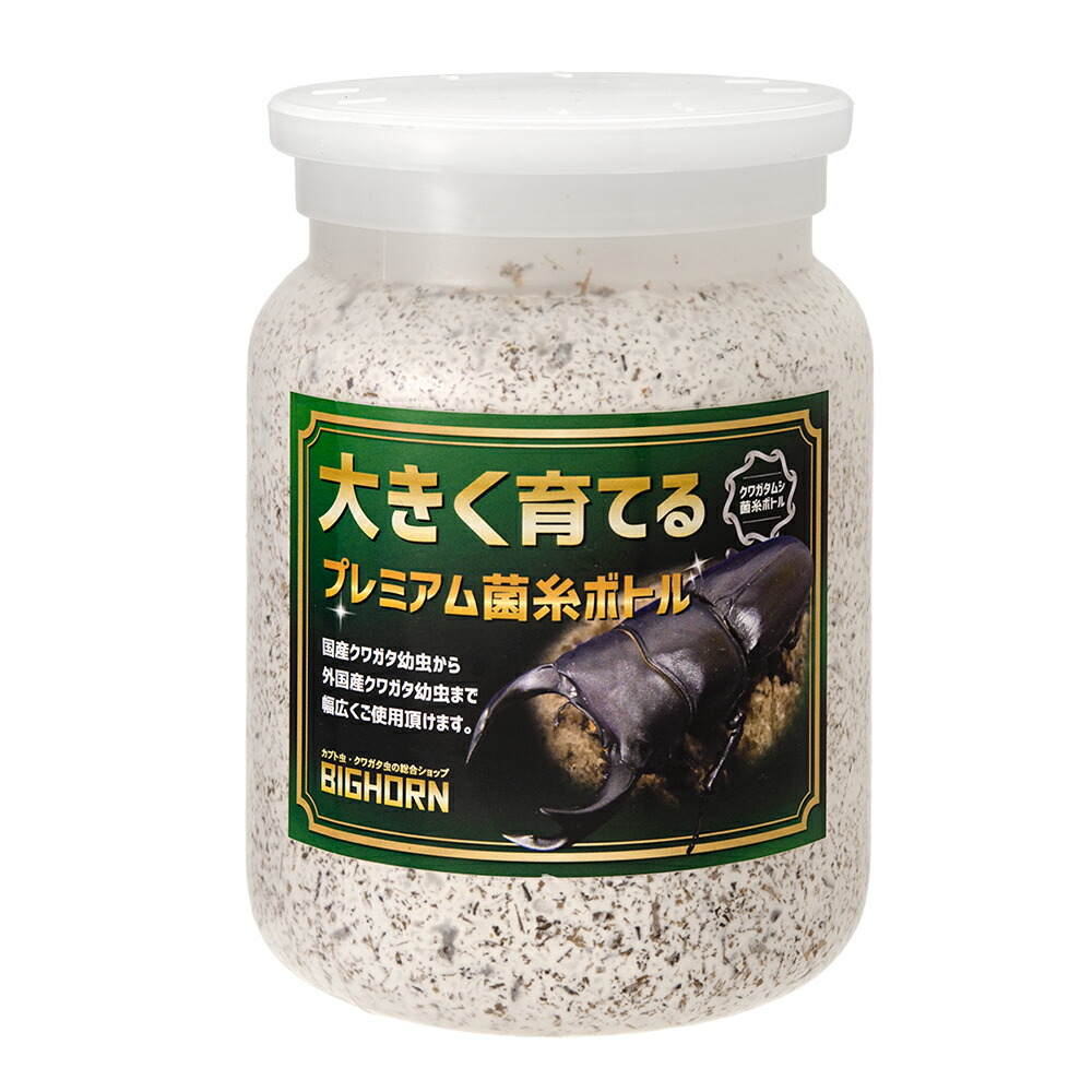 楽天市場】BIGHORN 菌糸ボトル 800CC 4本セット 手詰め 広葉樹 国産