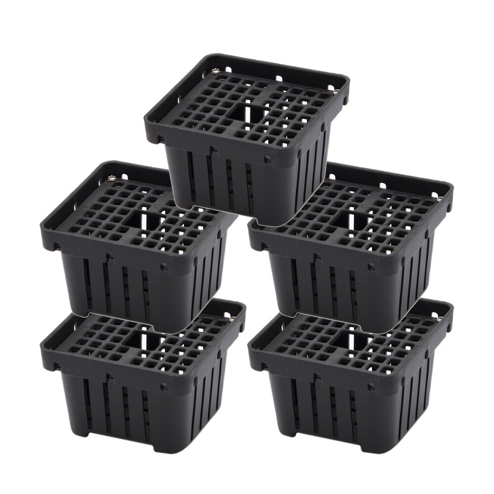 楽天市場】ビカクシダ ステンレスバスケット 2個 関東当日便 : charm