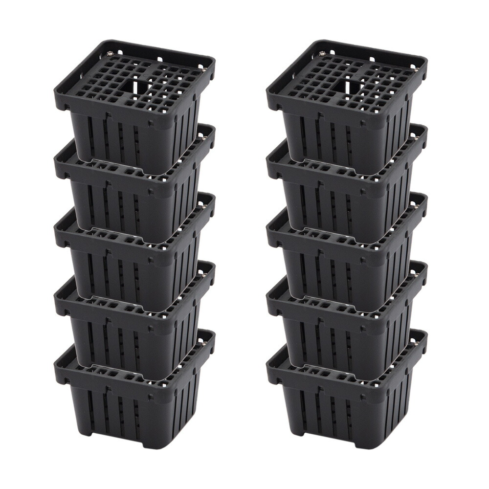 楽天市場】ビカクシダ ステンレスバスケット 2個 関東当日便 : charm