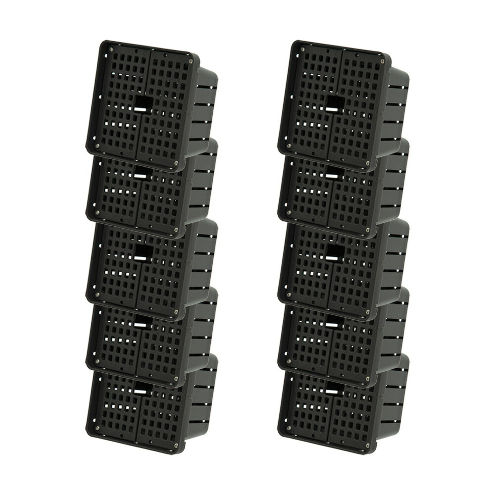 楽天市場】ビカクシダ ステンレスバスケット 2個 関東当日便 : charm