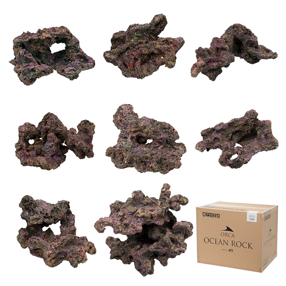 楽天市場】バクテリアがつけばもう ライブロック！ORCA ALFA OCEAN