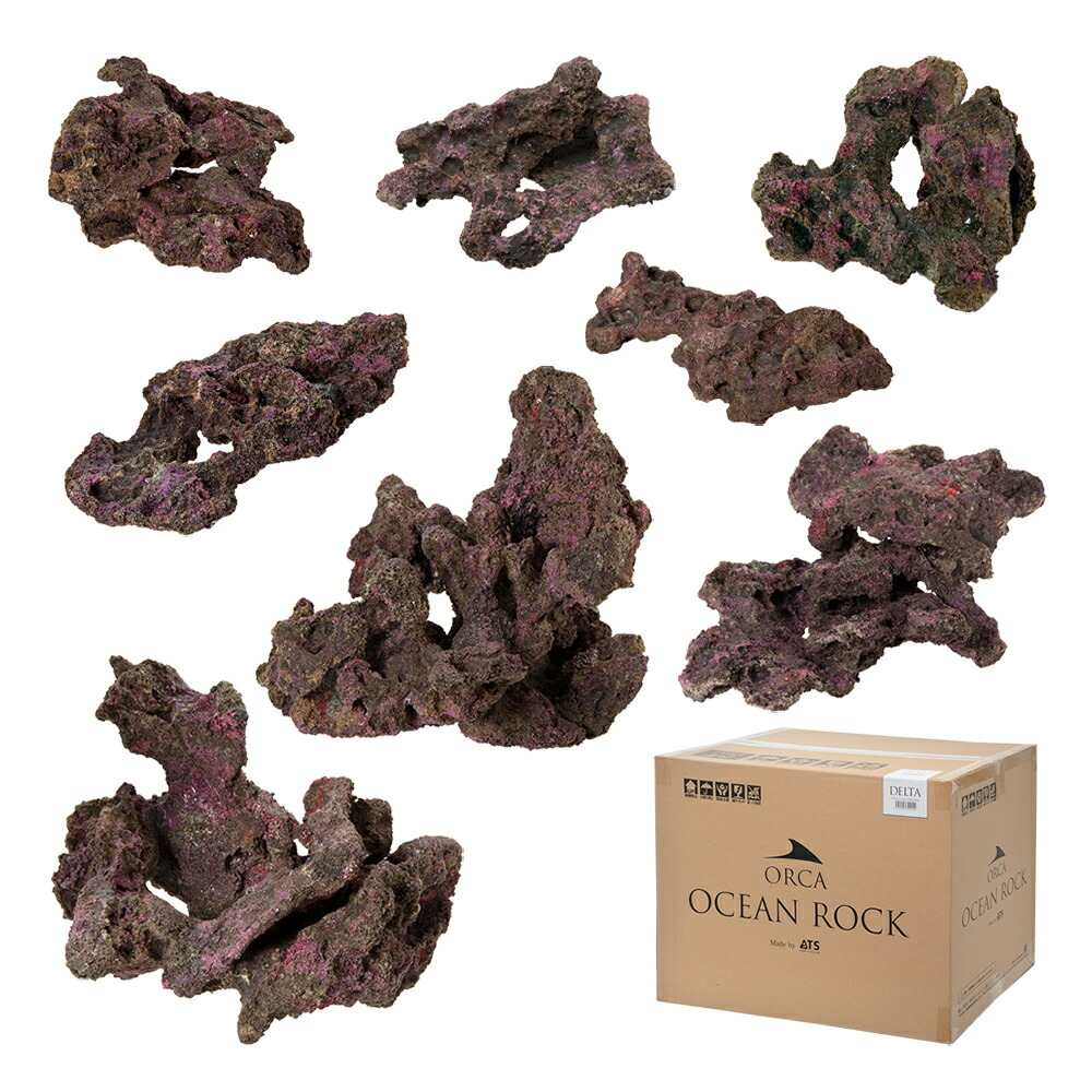 楽天市場】バクテリアがつけばもう ライブロック！ORCA OCEAN ROCK