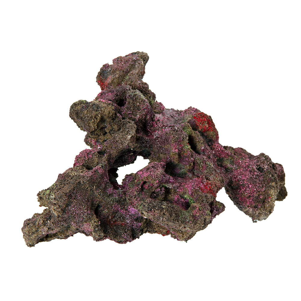 楽天市場】バクテリアがつけばもう ライブロック！ORCA OCEAN ROCK