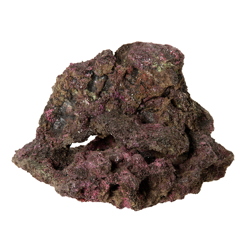 楽天市場】バクテリアがつけばもう ライブロック！ORCA OCEAN ROCK