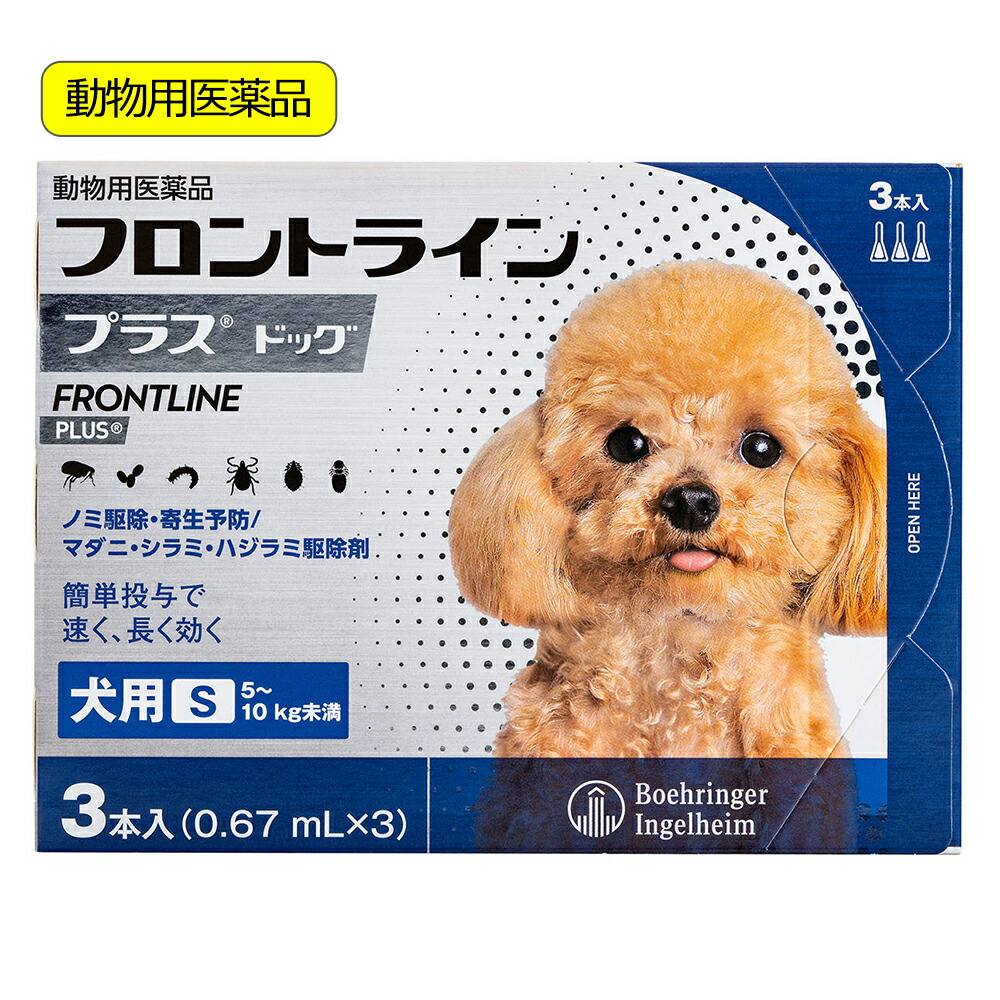 関東当日便お持て成し
