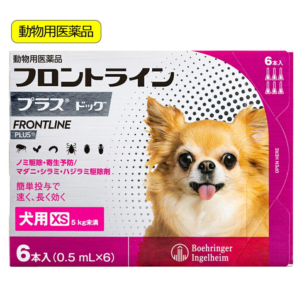 関東当日便お持て成し