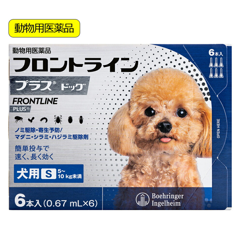 関東当日便お持て成し
