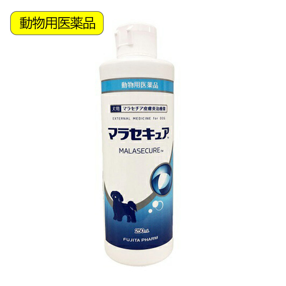 動物用医薬品　マラセキュア　シャンプー　犬用　２５０ｍｌ　動物用医薬品　関東当日便