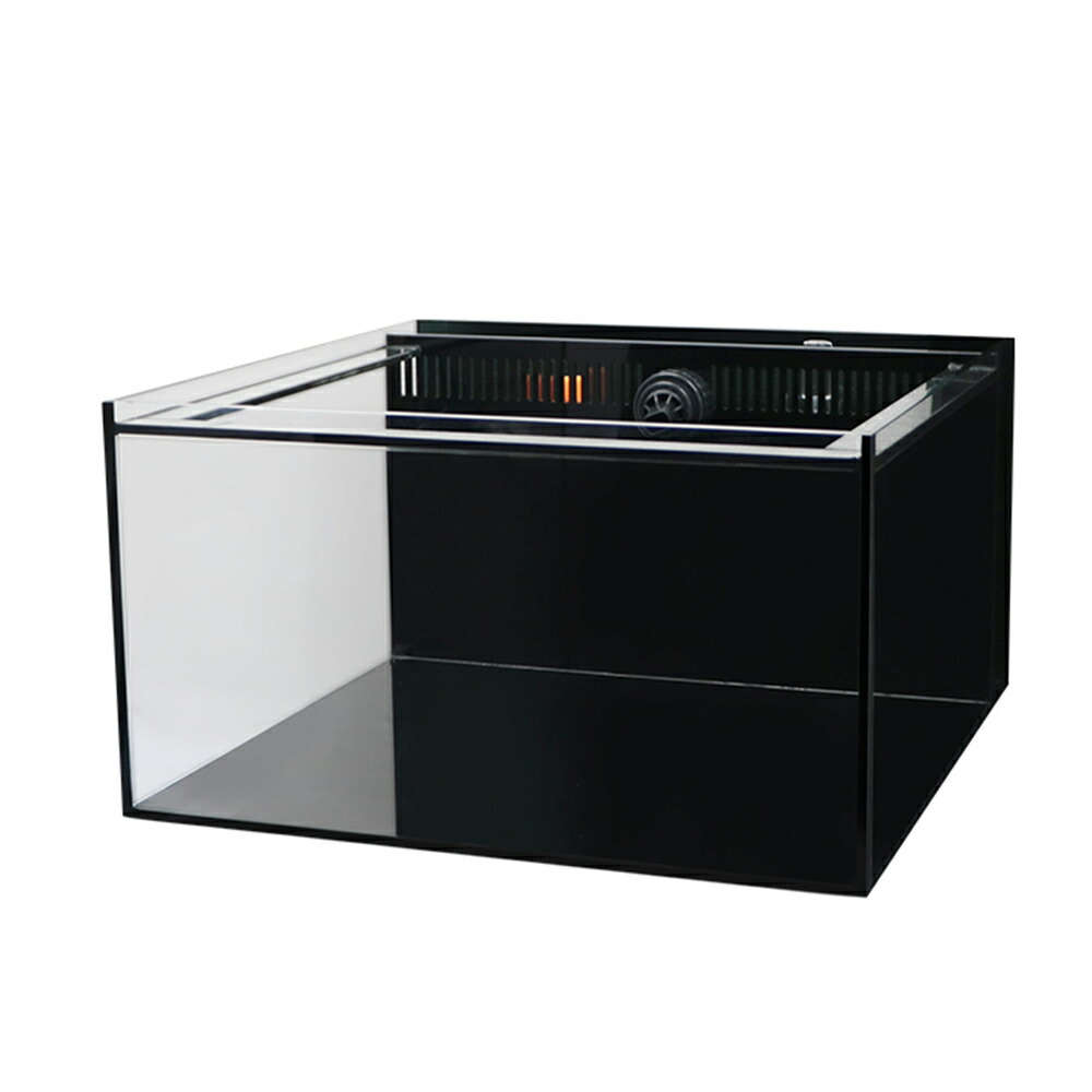 関東当日便客あしらい