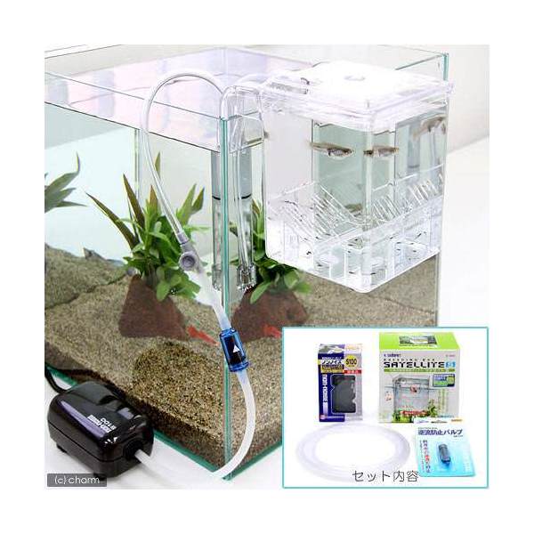 Ｖ3　ポンプ付　スレンダー600　水槽　かんたんに２段式水槽ができます　新品 V3 ポンプ付 スレンダー600 水槽 かんたんに2段式水槽にできます