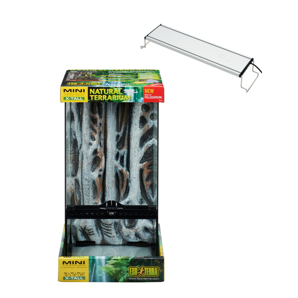 楽天市場】爬虫類ケージ GEX エキゾテラ スクリーンテラリウム