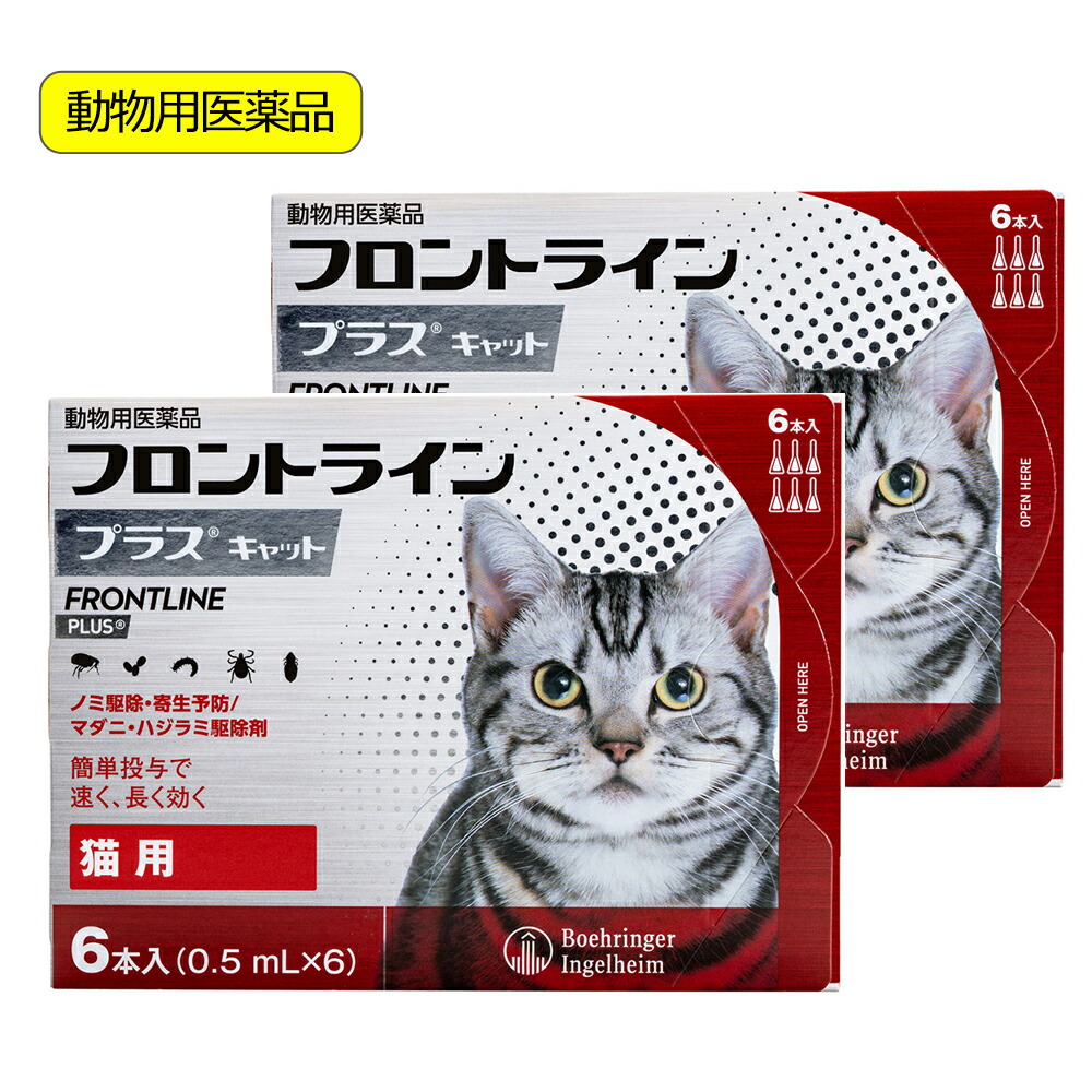 関東当日便お持て成し