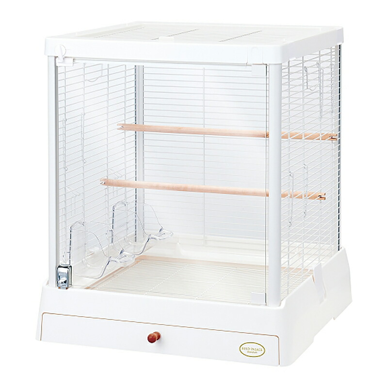 マルカン　バードパレス　クリアライフ　５０Ｗ　関東当日便