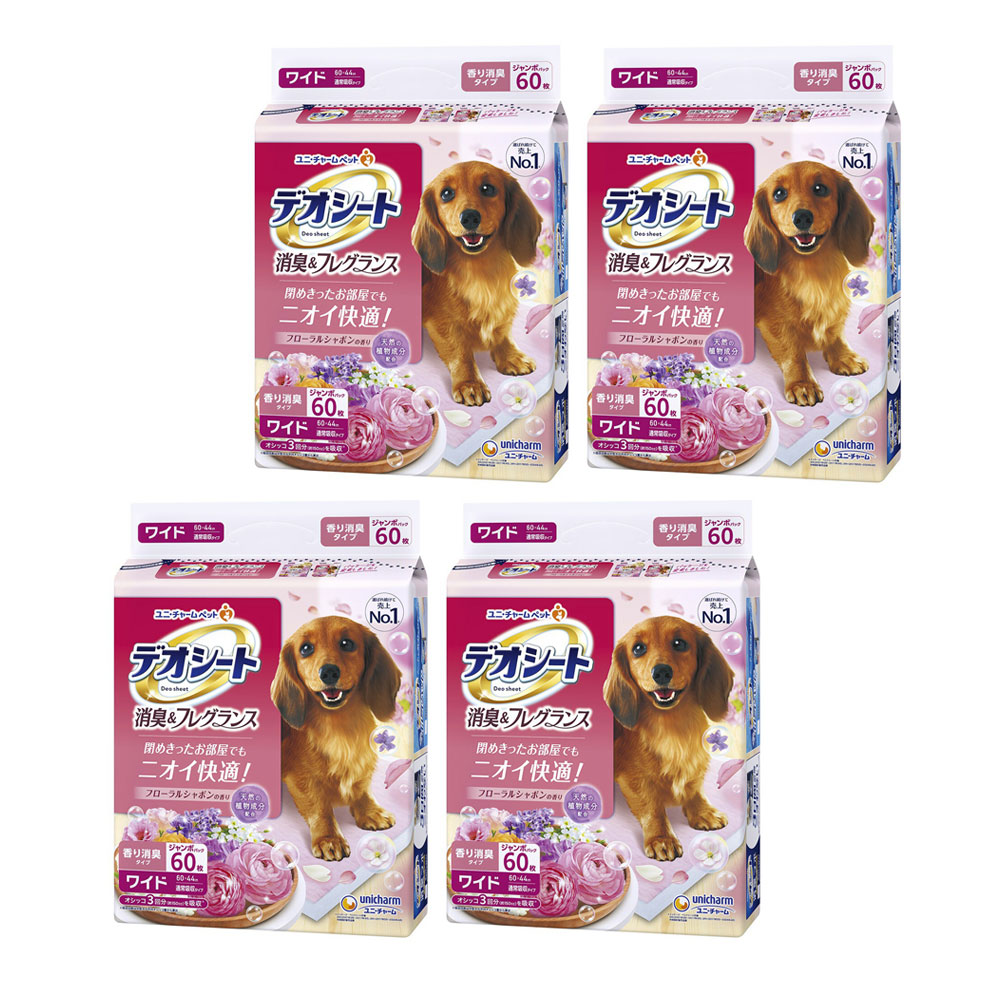 関東当日便お持て成し