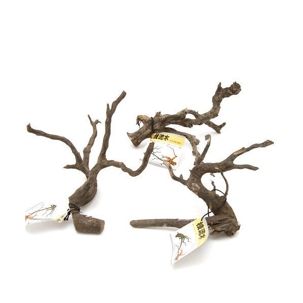 楽天市場】【2点以上で10%OFF】煮込み済み あく抜き済み 流木 枝状 3本